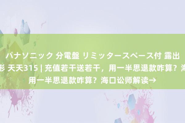 パナソニック 分電盤 リミッタースペース付 露出・半埋込両用形 天天315 | 充值若干送若干，用一半思退款咋算？海口讼师解读→