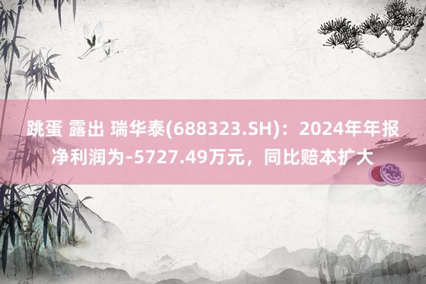 跳蛋 露出 瑞华泰(688323.SH)：2024年年报净利润为-5727.49万元，同比赔本扩大