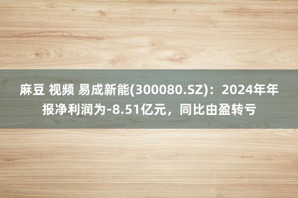 麻豆 视频 易成新能(300080.SZ)：2024年年报净利润为-8.51亿元，同比由盈转亏