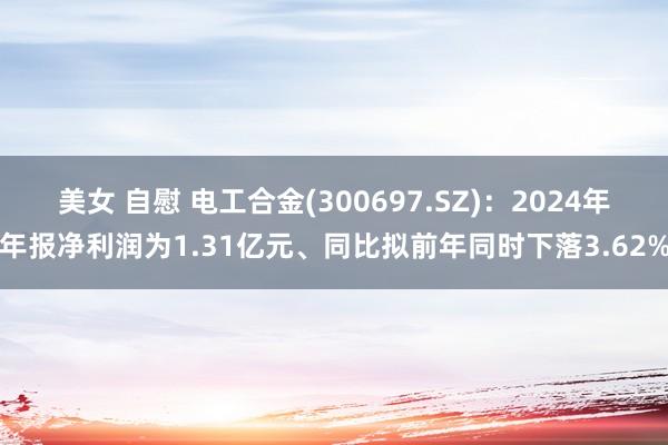 美女 自慰 电工合金(300697.SZ)：2024年年报净利润为1.31亿元、同比拟前年同时下落3.62%