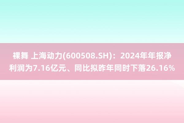 裸舞 上海动力(600508.SH)：2024年年报净利润为7.16亿元、同比拟昨年同时下落26.16%