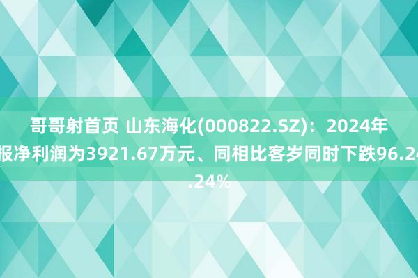 哥哥射首页 山东海化(000822.SZ)：2024年年报净利润为3921.67万元、同相比客岁同时下跌96.24%