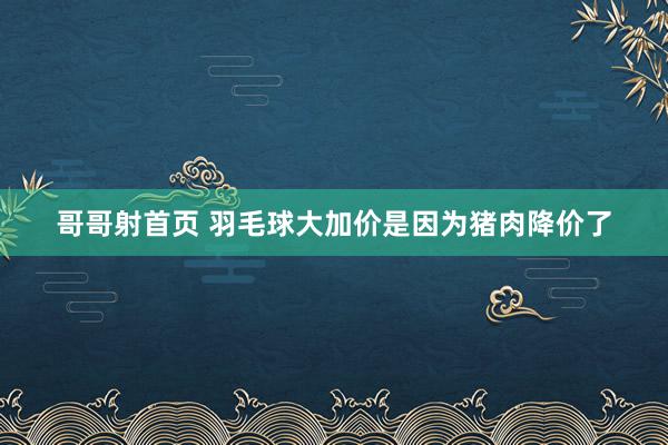 哥哥射首页 羽毛球大加价是因为猪肉降价了