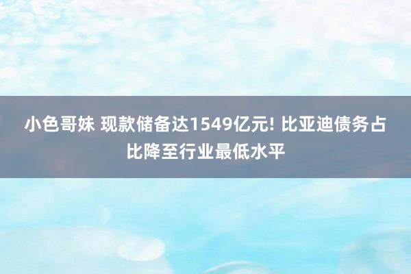 小色哥妹 现款储备达1549亿元! 比亚迪债务占比降至行业最低水平