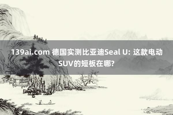 139ai.com 德国实测比亚迪Seal U: 这款电动SUV的短板在哪?