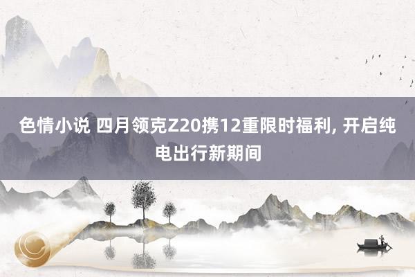 色情小说 四月领克Z20携12重限时福利, 开启纯电出行新期间