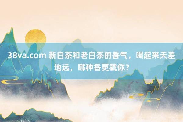 38va.com 新白茶和老白茶的香气，喝起来天差地远，哪种香更戳你？