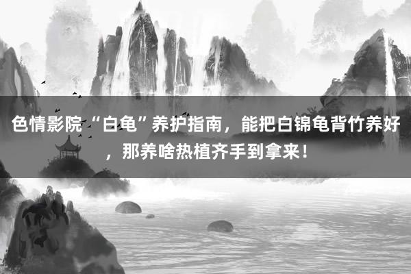 色情影院 “白龟”养护指南，能把白锦龟背竹养好，那养啥热植齐手到拿来！