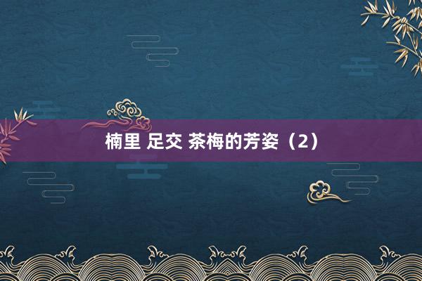 楠里 足交 茶梅的芳姿（2）