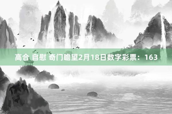 高合 自慰 奇门瞻望2月18日数字彩票：163