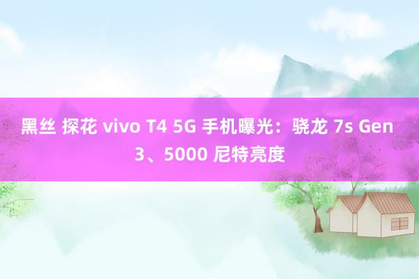 黑丝 探花 vivo T4 5G 手机曝光：骁龙 7s Gen 3、5000 尼特亮度