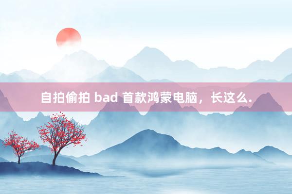 自拍偷拍 bad 首款鸿蒙电脑，长这么.